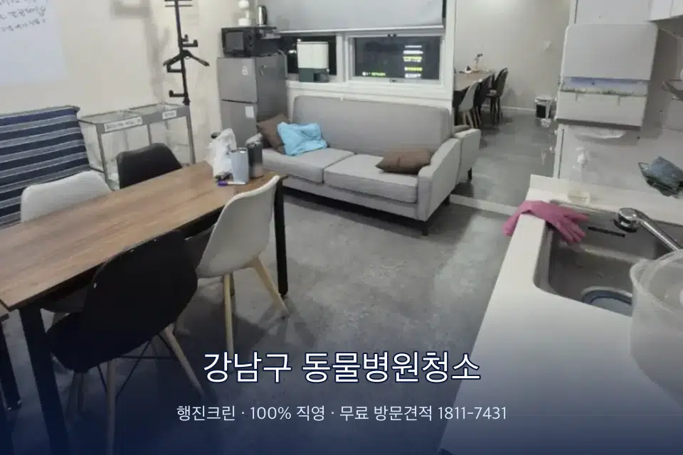 강남구 동물병원청소 병원 휴게 공간 의자 소독